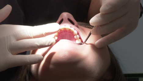 el examen dental