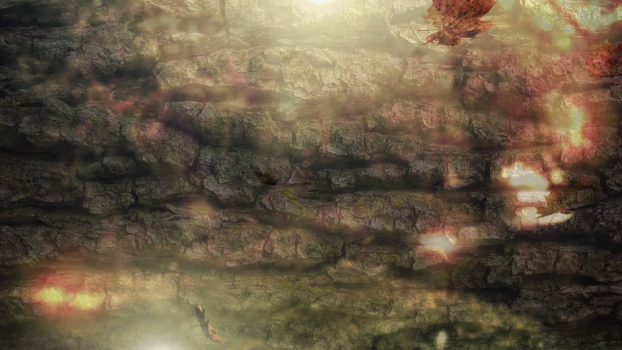 pared de roca y hojas de otoño que caen 4k