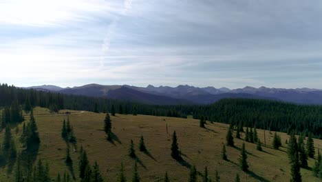 Bosques-De-Pinos-Y-Parques-De-Flores-Silvestres-Rodeados-De-Picos-Serenos-Pero-Mortales-En-Las-Montañas-De-Colorado