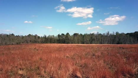 Slow-hover-over-golden-grass-in-the-summertime