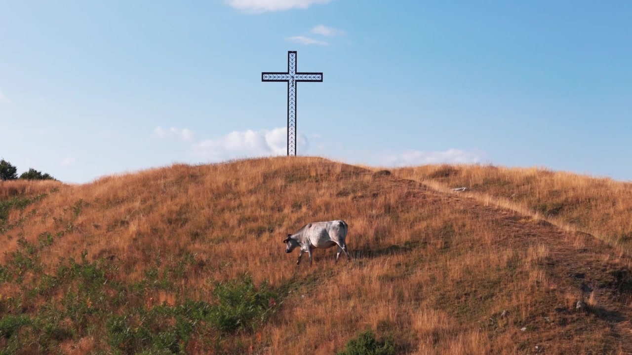 Paisaje pastoral con una sola vaca pastando en una colina reseca por el sol, con una gran cruz religiosa de pie en la cima contra un cielo azul.