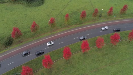 Autos-Conduciendo-A-Lo-Largo-De-La-Avenida-Bordeada-De-árboles-Rojos,-Tiro-De-Grúa-De-Video-Aéreo-De-Drones