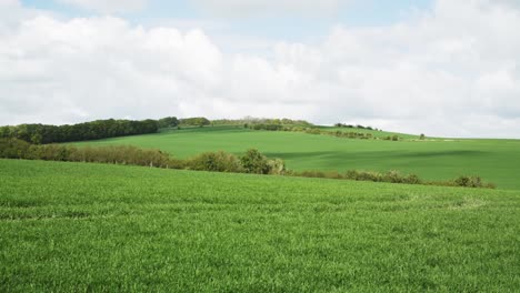 Timelapse-of-cloud-shadows-scudding-across-rolling-English-meadows,-late-afternoon-4K