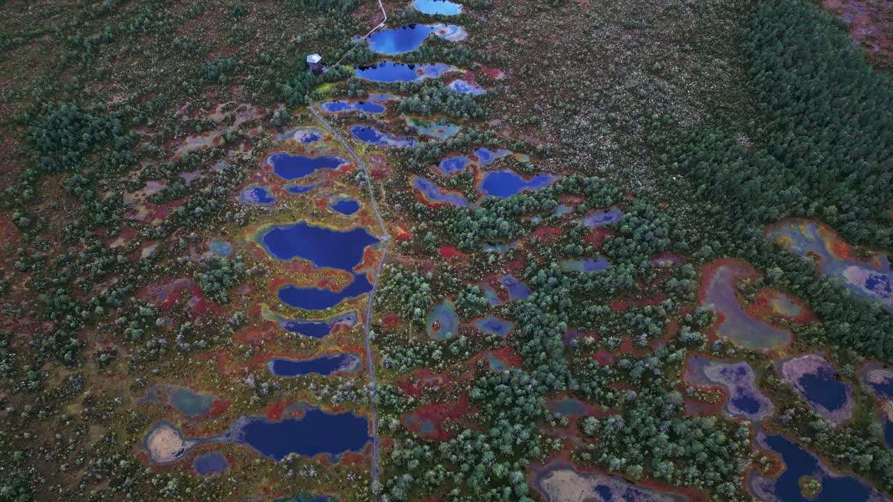 A long wooden walkway stretches across Viru Bog Estonia connecting travelers with panoramic views of bog lakes moss vegetation and autumn pine forests in a pristine northern European wetland