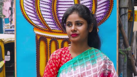 a graceful indian girl in saree standing near a beautiful decorated wall at jaipur, india