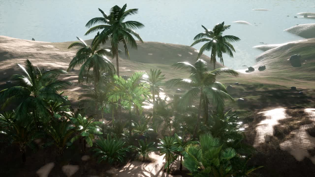 ⁇ 나무 를 가로지르는 해 가 지는 광선