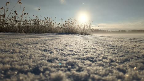 Mar-Congelado-En-Un-Día-De-Invierno,-Hermosa-Escena-De-Invierno,-Luz-De-Fondo,-Toma-Deslizante