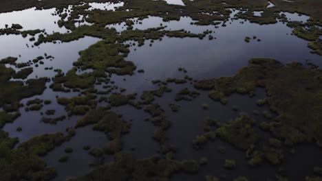 Drone-high-angle-orbit-above-swamp-wetlands-with-calm-peaceful-water-in-Chincoteague-Island-Virginia