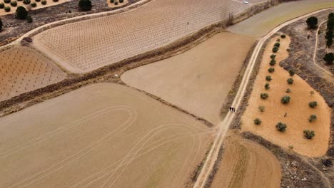 Mosaic-of-crops,-wine-and-river