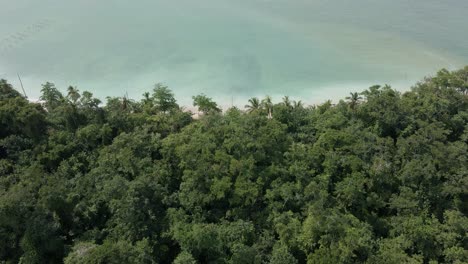 AERIAL---Camera-reveals-white-sand-beach-hidden-behind-lush-jungle