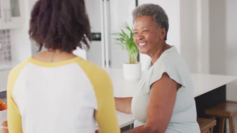 happy senior african american woman talking with adult daughter at home