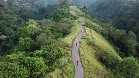 campuhan ridge walk bali ubud hiking trail tourists walking aerial