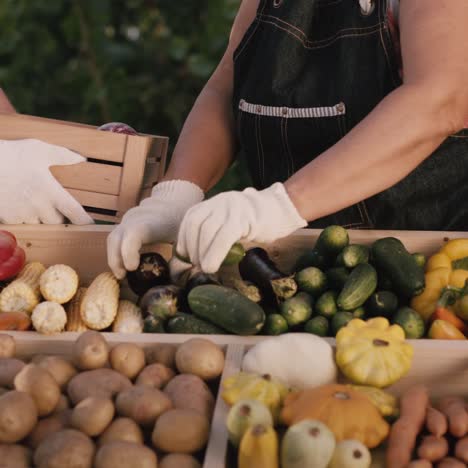 Un-Agricultor-Pone-Verduras-En-Una-Caja-Del-Mostrador-De-Un-Mercado-De-Agricultores