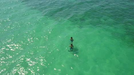 me snorkeling in shallow clear water, viewed from a mavic pro drone