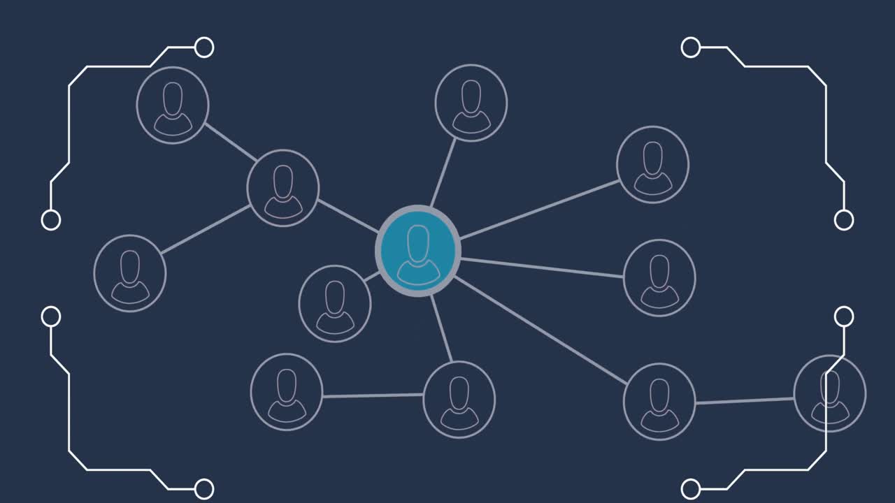 Animation of networks of connections with icons and data processing