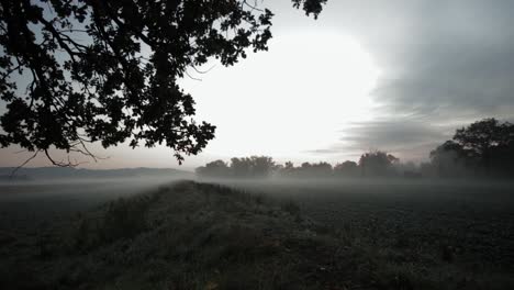 El-Hermoso-Paisaje-Del-Paisaje-De-Zlotoryja,-Suroeste-De-Polonia-En-Una-Fría-Mañana-Brumosa-Con-Hojas-Cayendo-Del-árbol---Hoja-Ancha