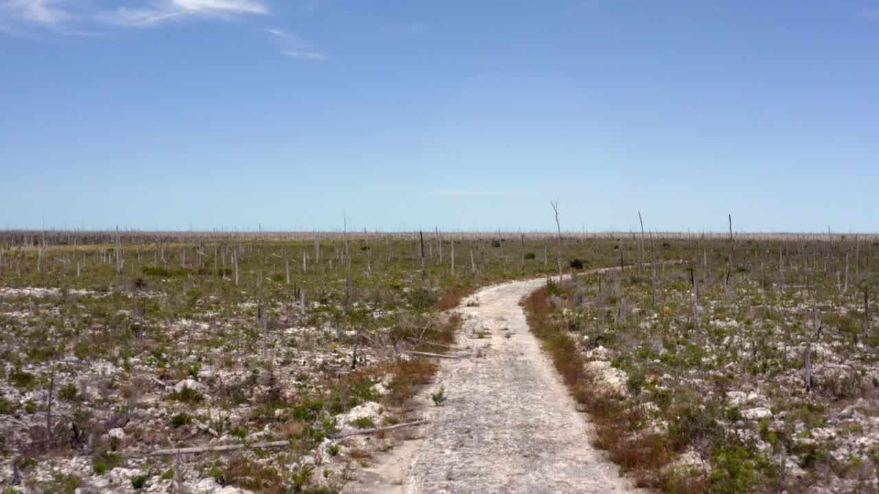 허리케인 도리안 후 그랜드 바하마의 황무지