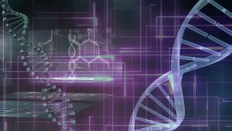 Animation-of-data-processing-over-dna-strands