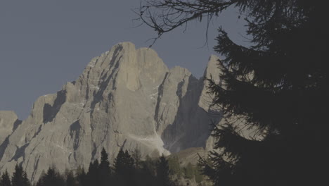 mountain peaks and forest