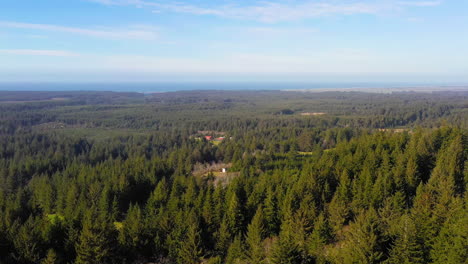 aerial forward of port orford coniferous forest with ocean in background