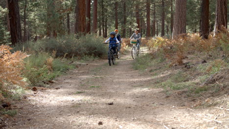 asian couple and son cycling in a forest