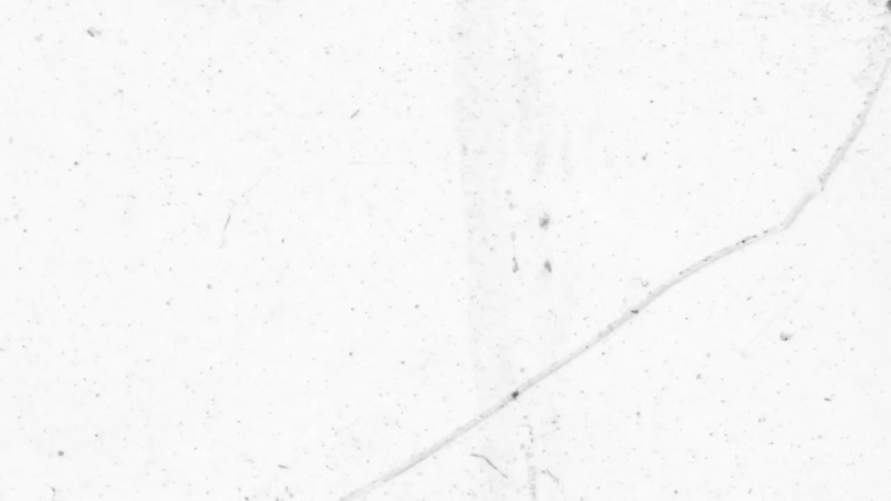 Animated Film Grain and Dust Overlay on White Background