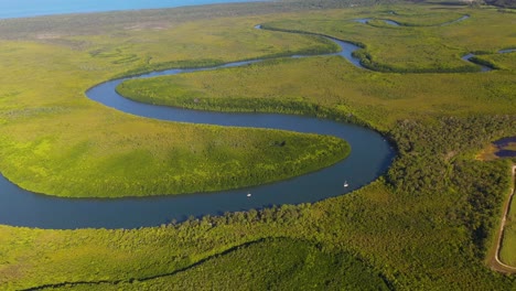 Delta-Del-Río-Daintree-Serpenteando-A-Través-De-La-Selva-Tropical,-Queensland,-Vista-Aérea