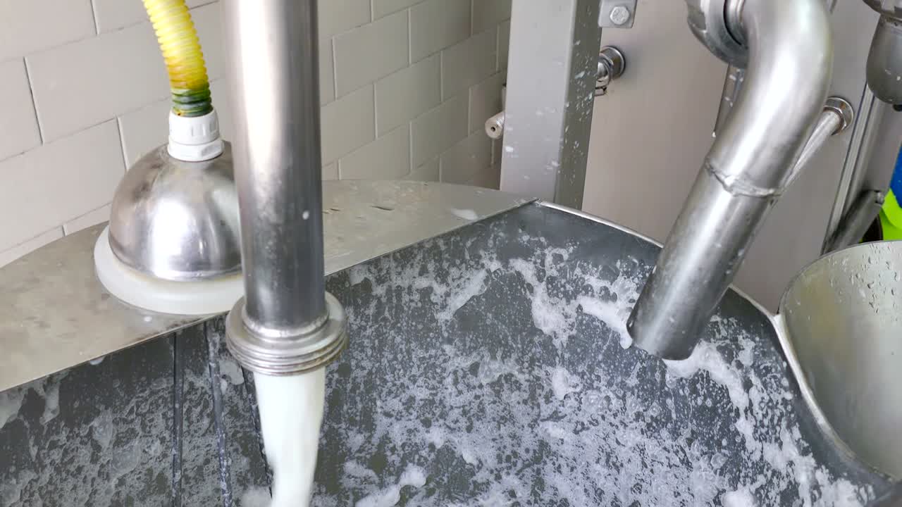 우유 산업에서 치즈 생산