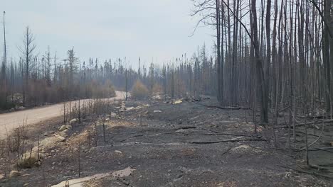 pov view of aftermath of kirkland lake klk005 forest fire with charred trees and grass