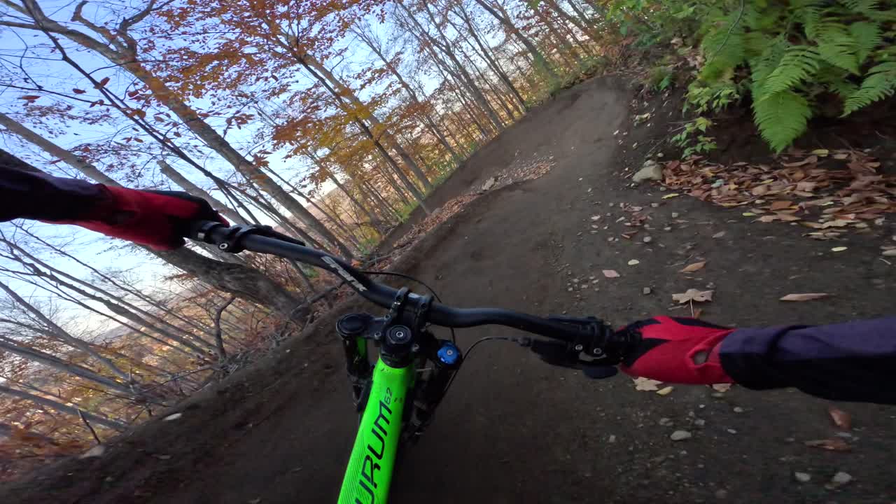 mtb rider pov giros sinuosos en otoño bosque rápido y divertido