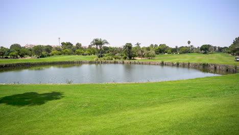 un hermoso campo de golf con césped verde, árboles, lago y césped de plumas en un día soleado
