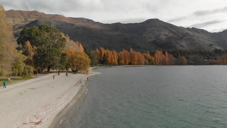 Vista-Aérea-De-Drones-En-Cámara-Lenta-De-La-Costa-Y-El-Lago-Wanaka,-Nueva-Zelanda-En-Otoño