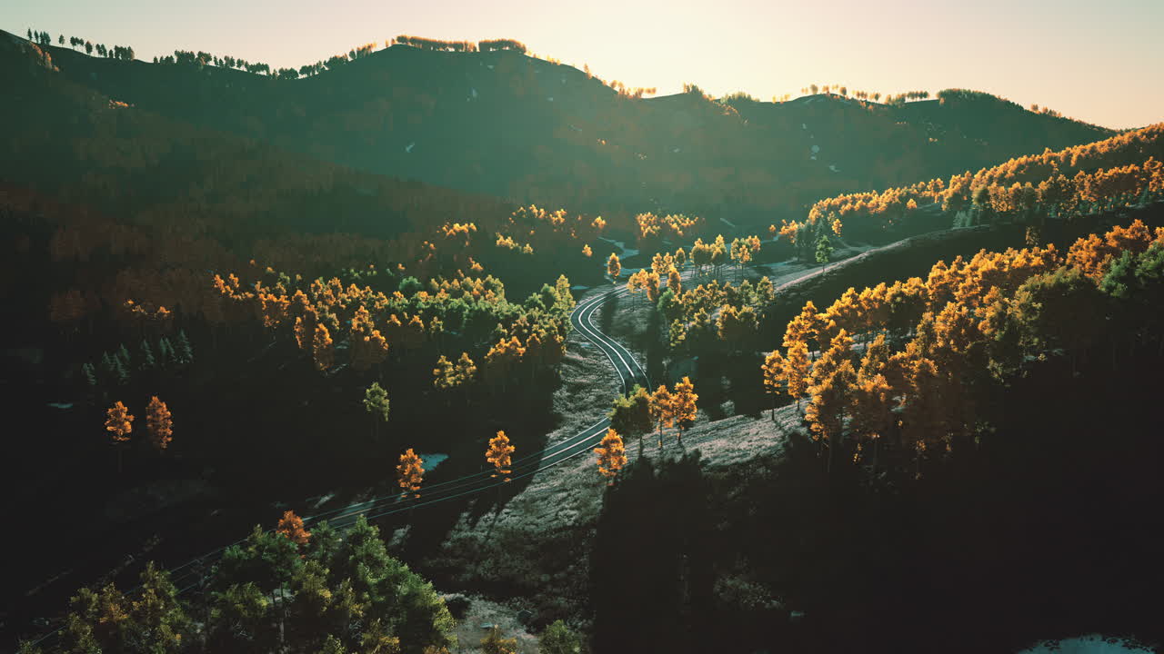 Strada tortuosa attraverso una foresta di montagna