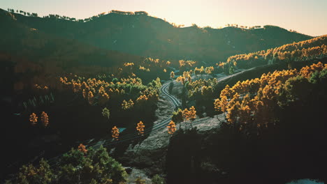 winding road through a mountain forest