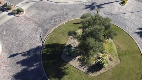 aerial cinematic shot of a well-kept foliage and trees on a round-about