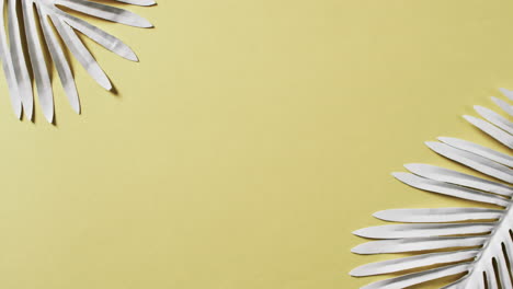 video de hojas de plantas blancas con espacio de copia en fondo amarillo