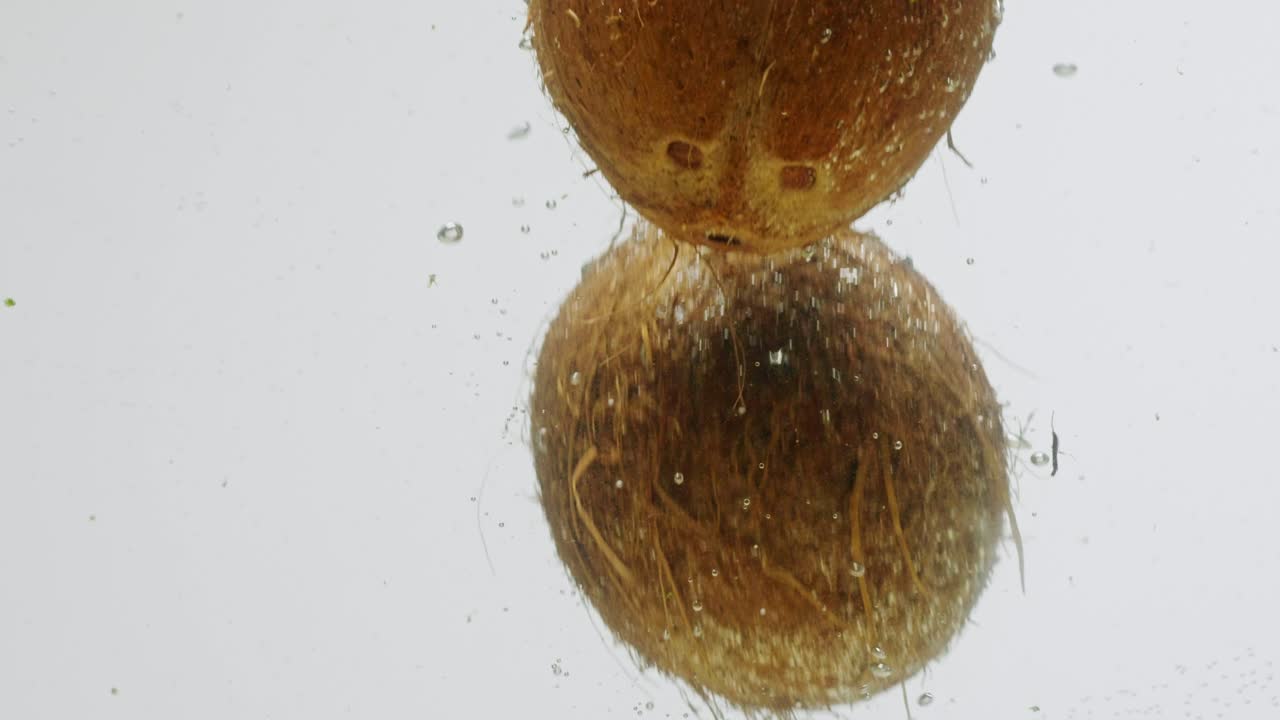 Coconuts splashing into water