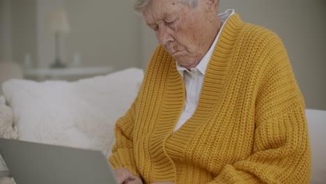 joyful caucasian lady finishing a project. happy mature woman working her laptop ending her at home during self isolation.