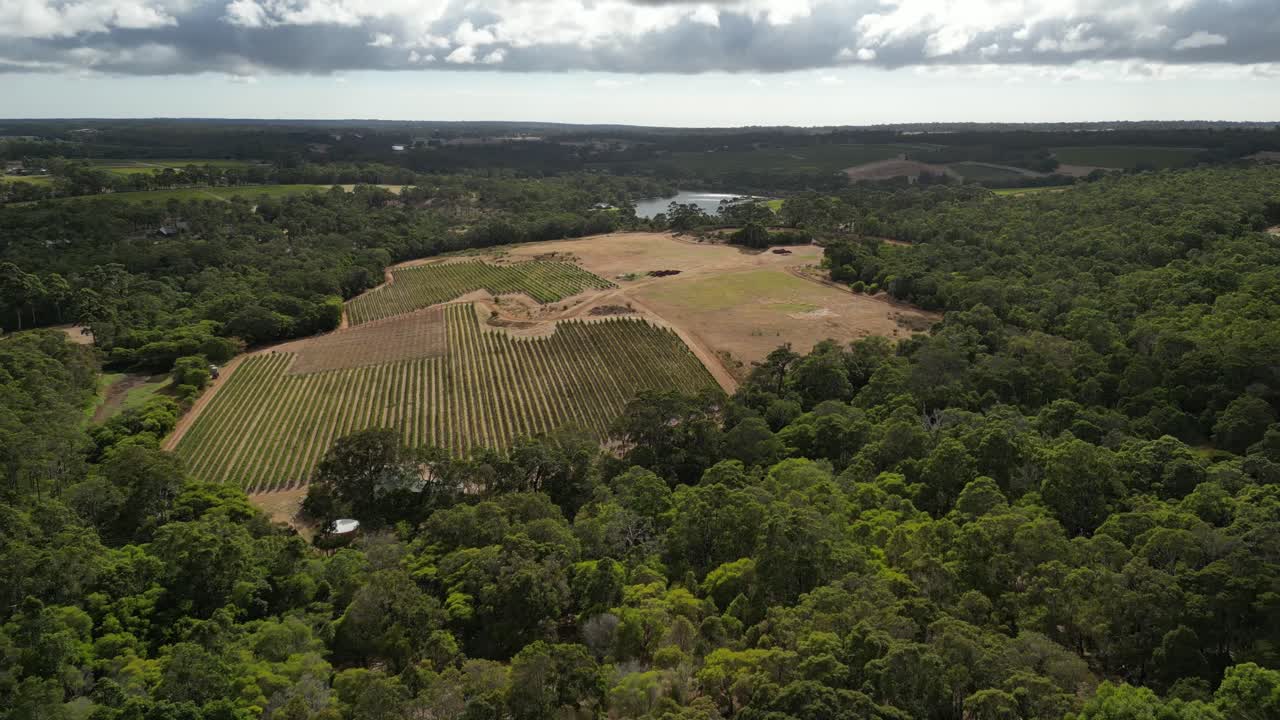 Panoramica aerea di paesaggio verde con vigneto nella regione di Margaret River, Australia Occidentale, durante una giornata nuvolosa.