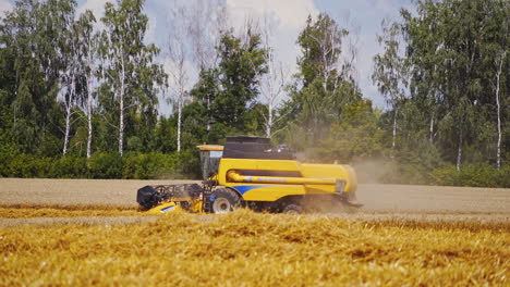 harvester cutting wheat. harvesting machine working at field