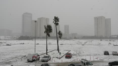 snowy cityscape with palm trees