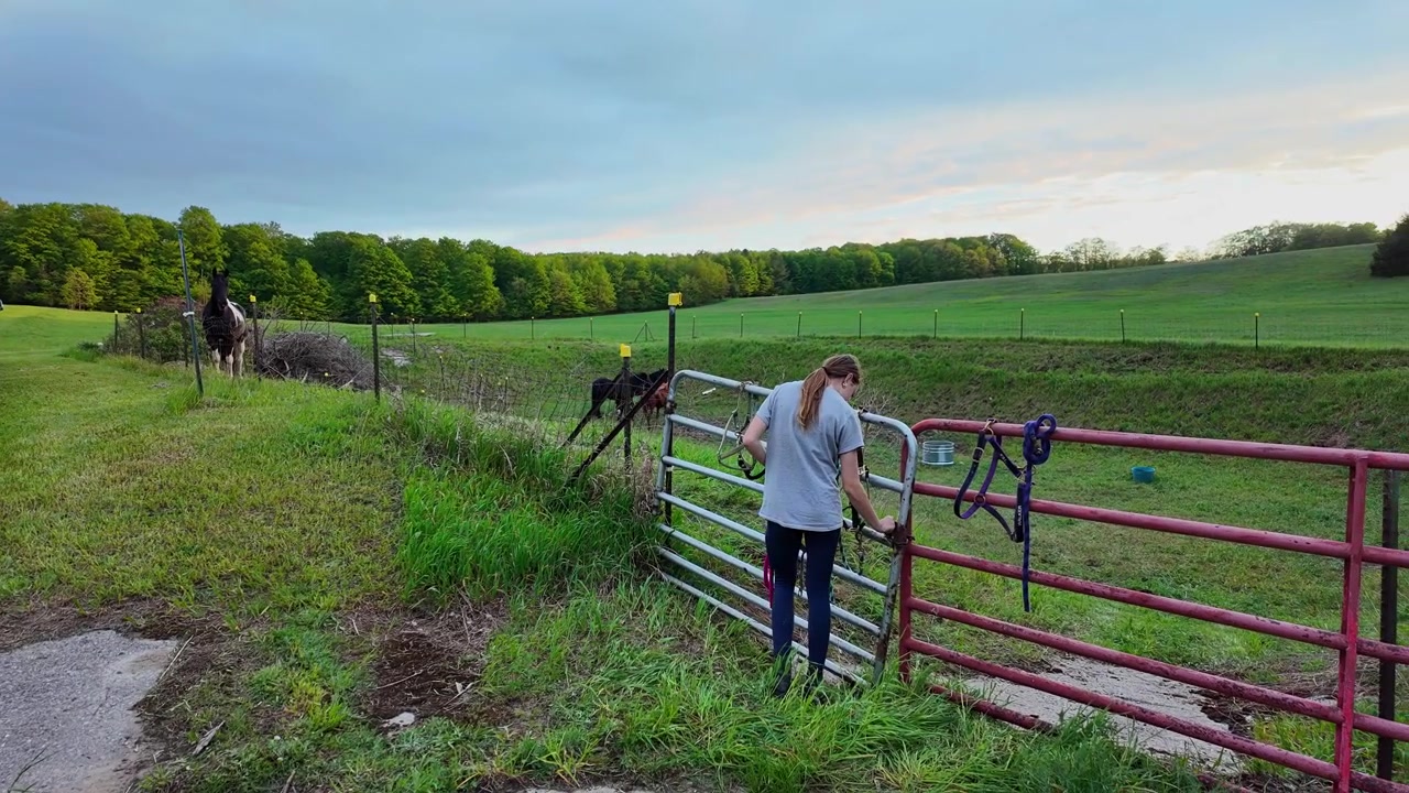 Giovane contadina che apre un cancello del pascolo per il suo cavallo American Paint Horse nella Contea di Leelanau, Michigan, vicino a Traverse City