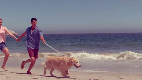 happy family running with dog