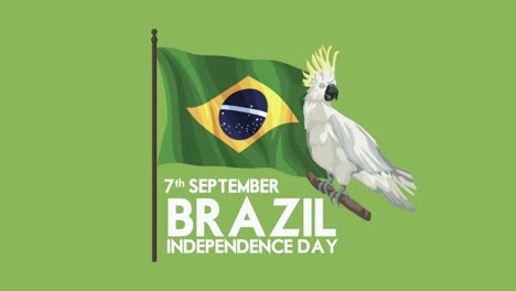 brazil independence day lettering with flag and cockatoo