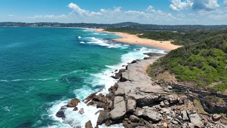 aerial elegance: spoon bay meets wamberal beach on new south wales' scenic central coast, australia