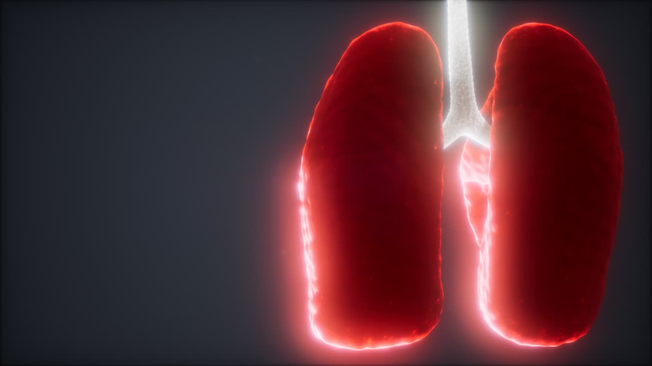 3d loop resa animazione medicamente accurata del polmone umano