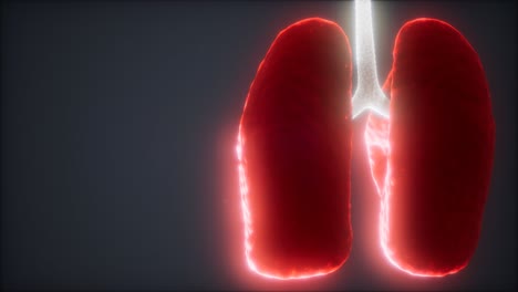 loop-3d-rendered-medically-accurate-animation-of-the-human-lung