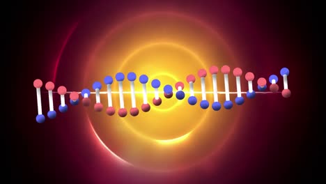 Animation-of-dna-over-orange-and-yellow-circles-moving-on-black-background