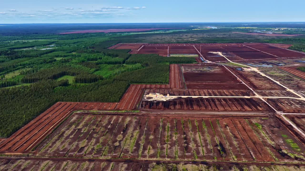 Vast peat extraction fields with grid patterns surrounded by dense forest seen from above