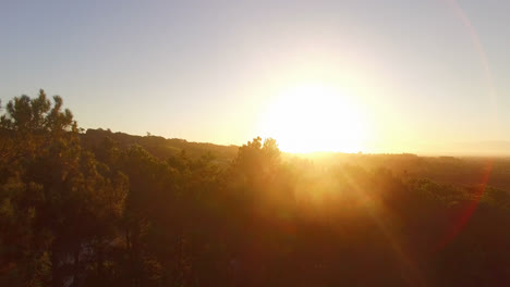 Bright-sunlight-passing-through-the-trees